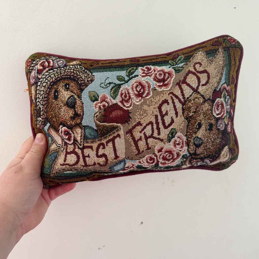 Best Friends teddy bears cushion