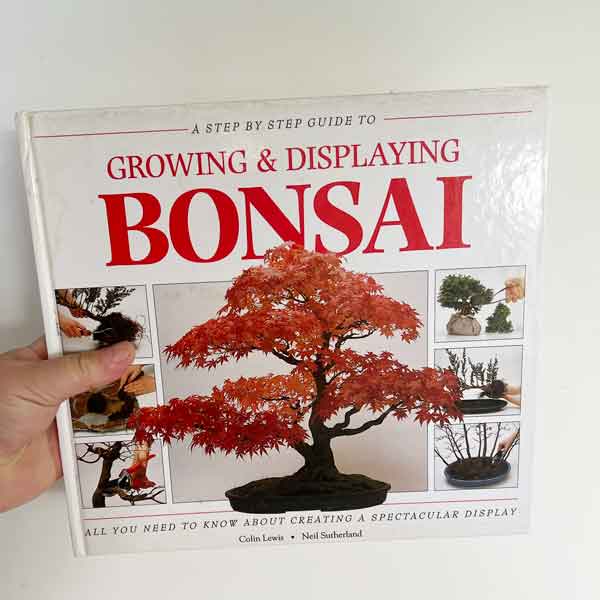 Growing and displaying bonsai 8463