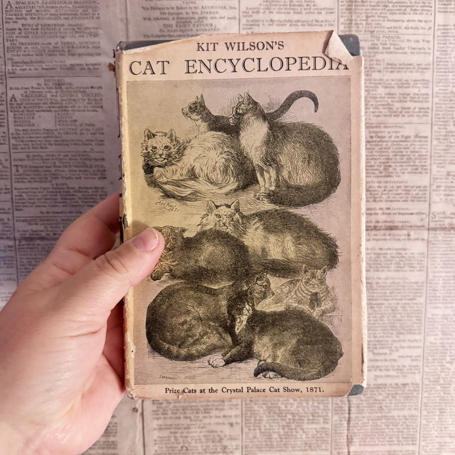 Cat Encyclopedia