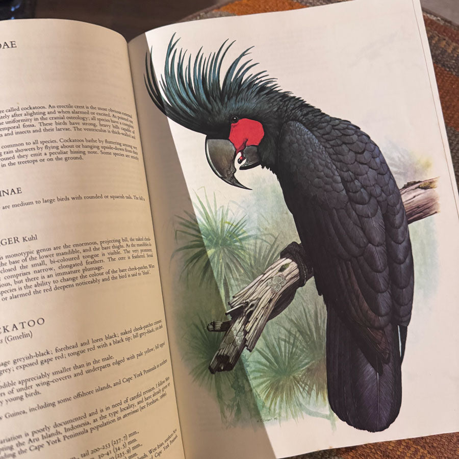 Parrots of the World