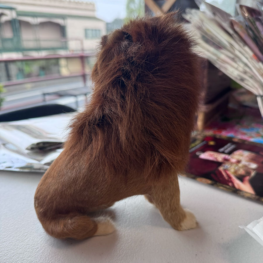 Fur lion