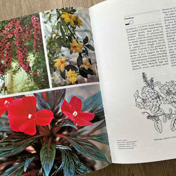 The book of houseplants 8344