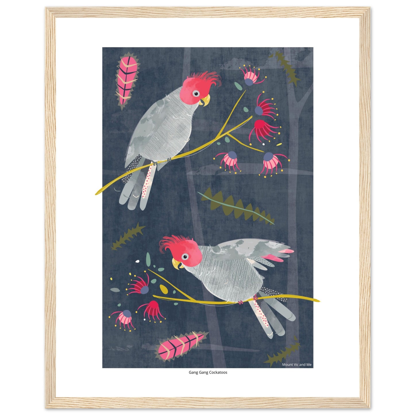 Gang Gang Cockatoos Framed Poster