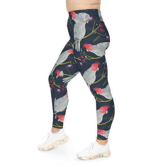 Curvy Gang Gang Cockatoos Leggings 2xl-6xl