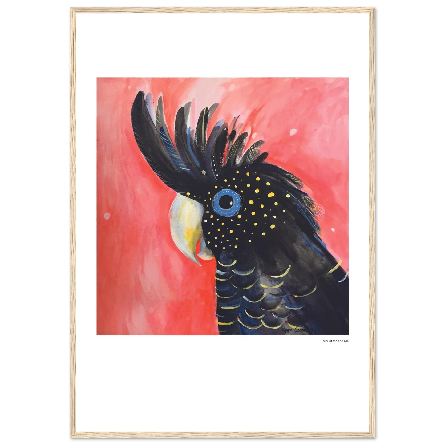 Black Cockaoo Framed Poster