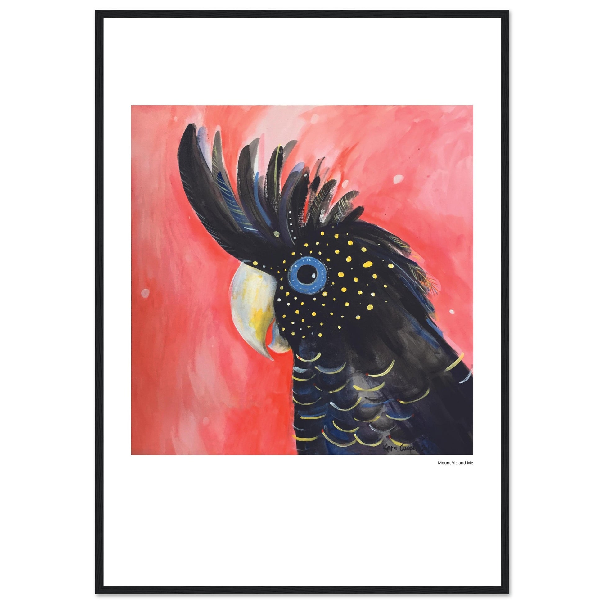 Black Cockaoo Framed Poster