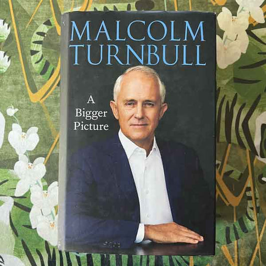 Malcolm Turnbull A bigger picture 8001