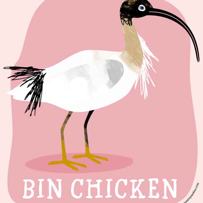 Bin Chicken classic t shirt