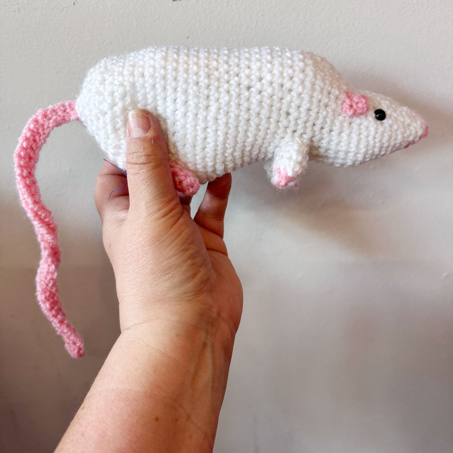 Bobbi the rat