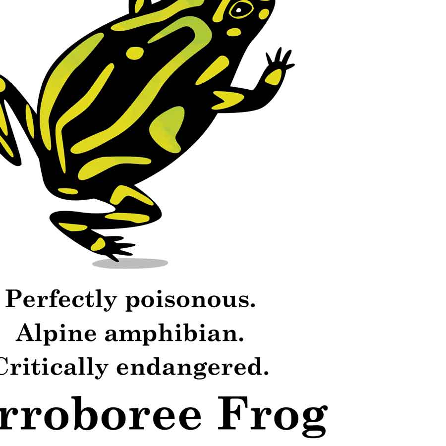Corroboree Frog classic cotton t shirt
