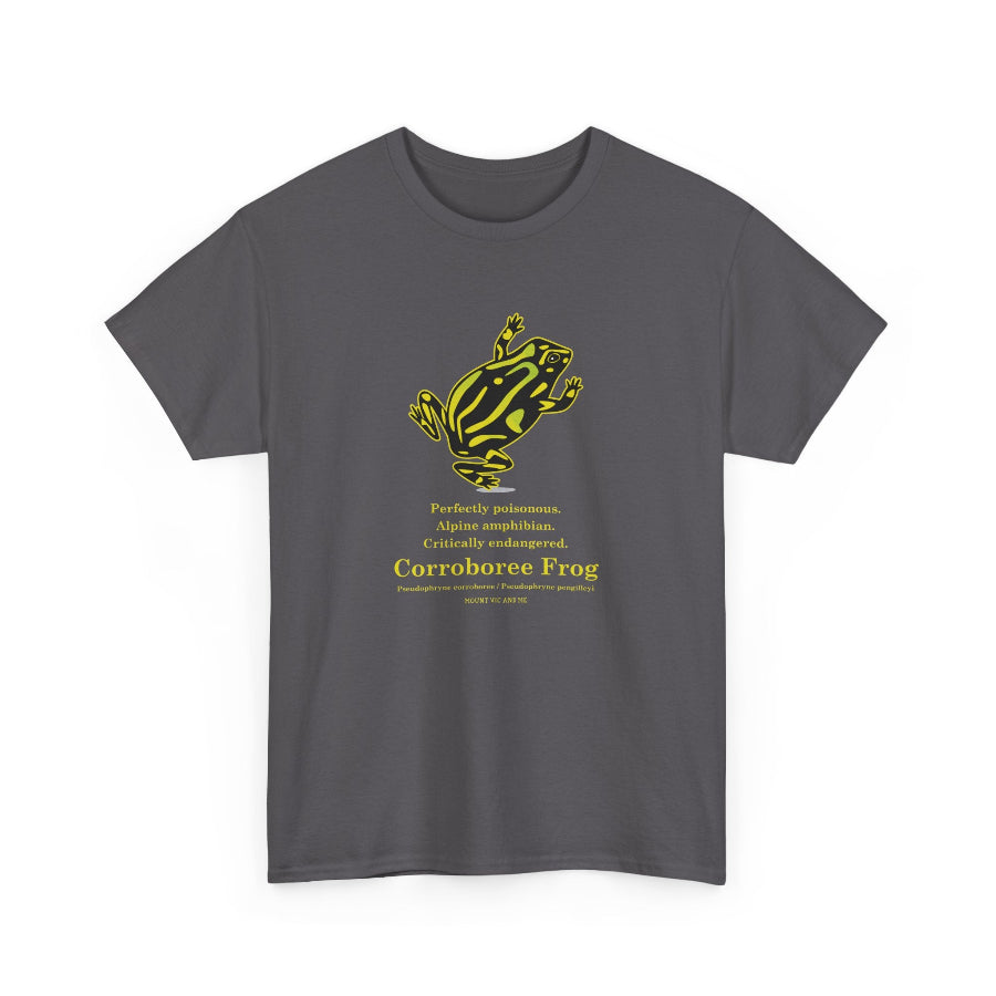 Gray t-shirt with a yellow and black frog graphic and text on a white background