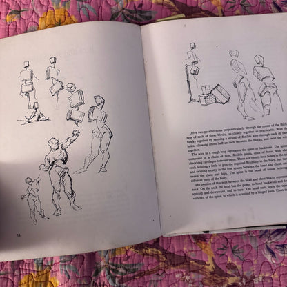 Drawing from life
