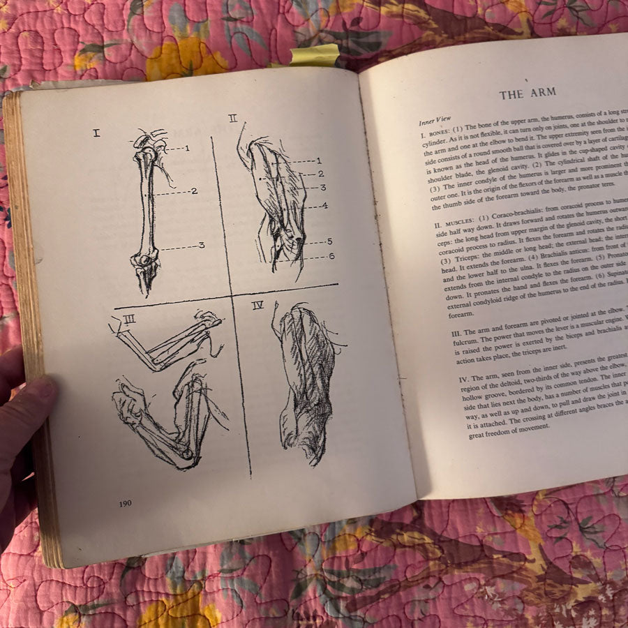 Drawing from life