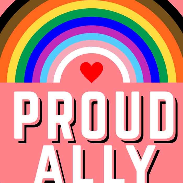 Proud Ally classic cotton t shirt