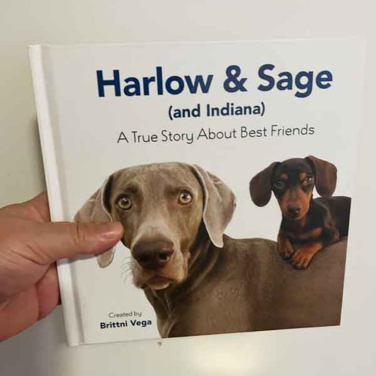 Harlow and Sage book 8377