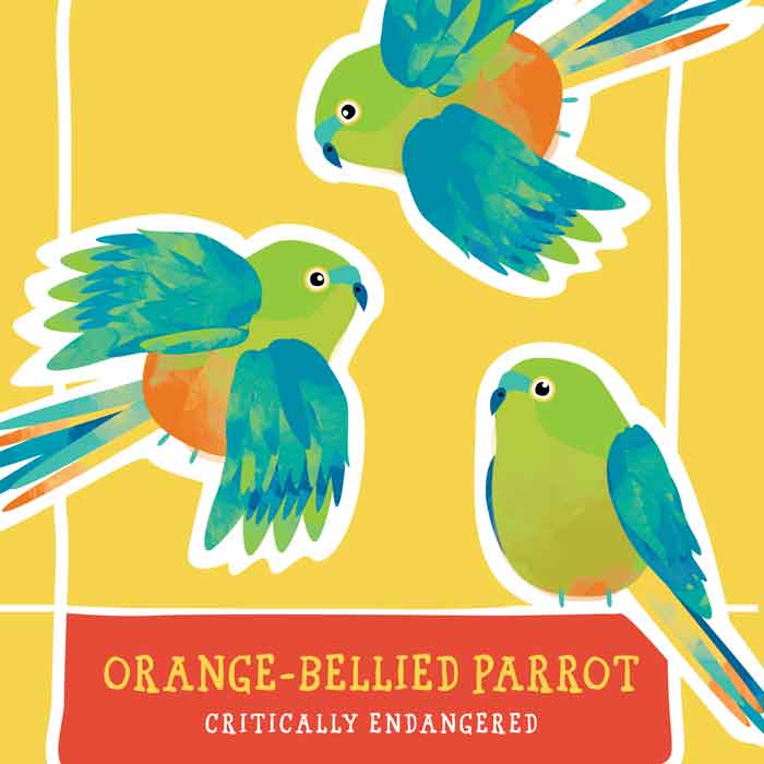 Orange-Bellied Parrot t shirt