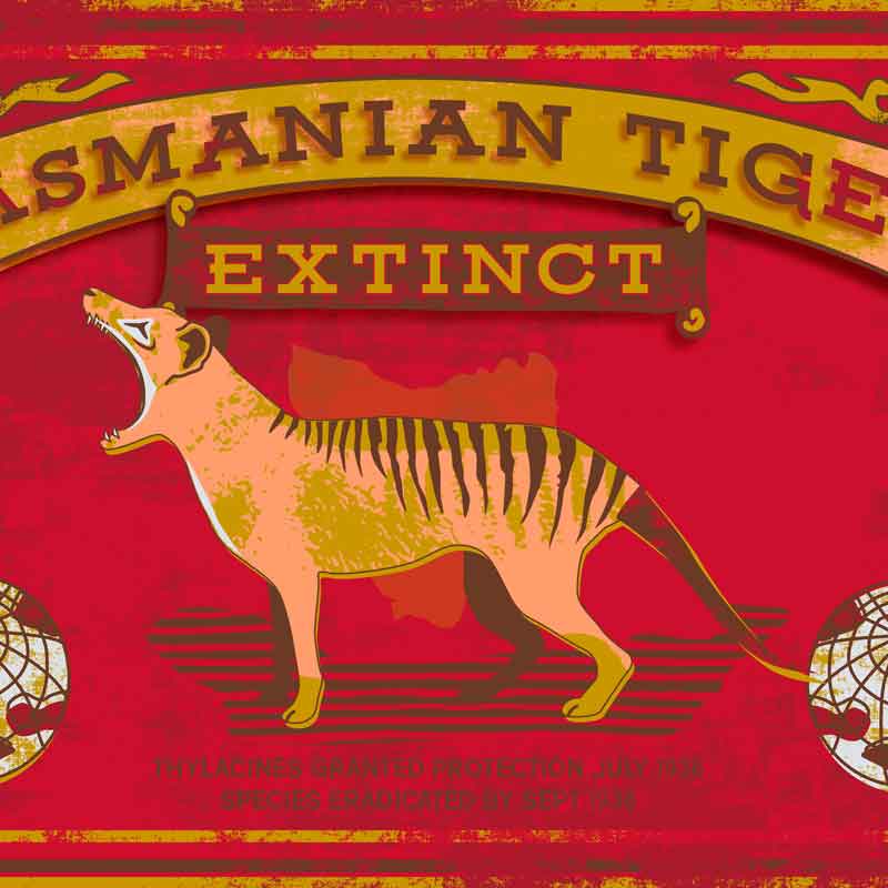 Tasmanian Tiger Extinct classic cotton t shirt