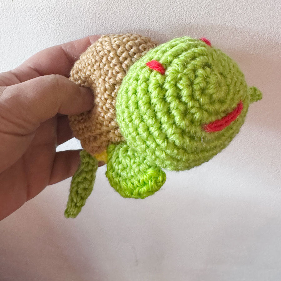Timmy turtle
