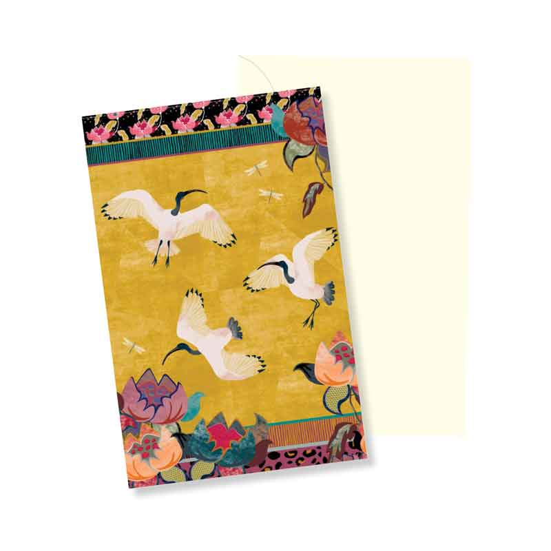 Bird greeting cards