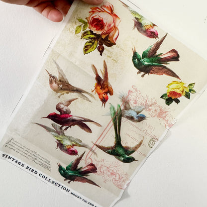 Vintage Birds cotton poplin panel