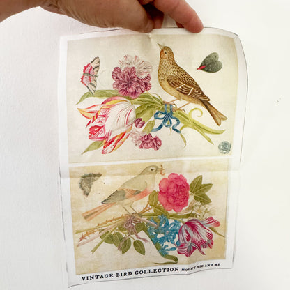 Vintage Birds cotton poplin panel