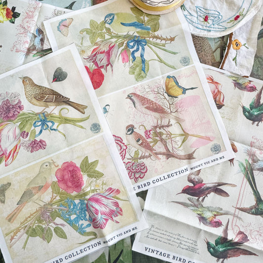 Vintage Birds cotton poplin panel