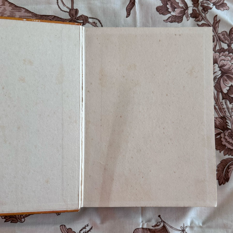 Big budget for children book