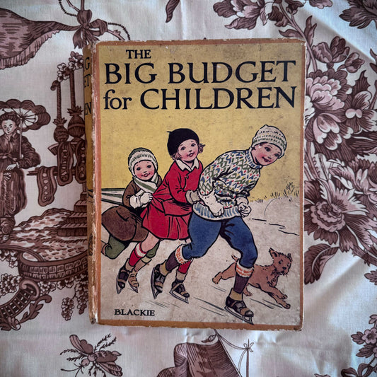 Big budget for children book