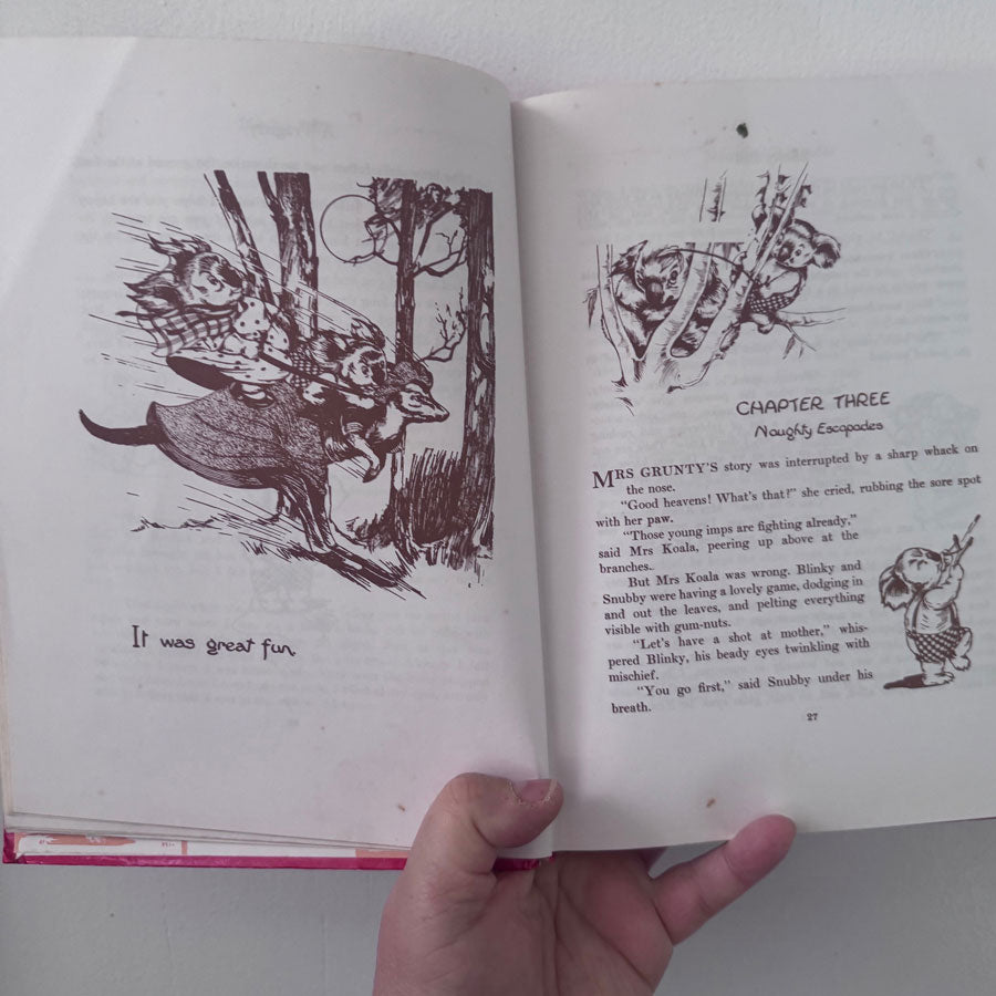 Complete Adventures of Blinky Bill