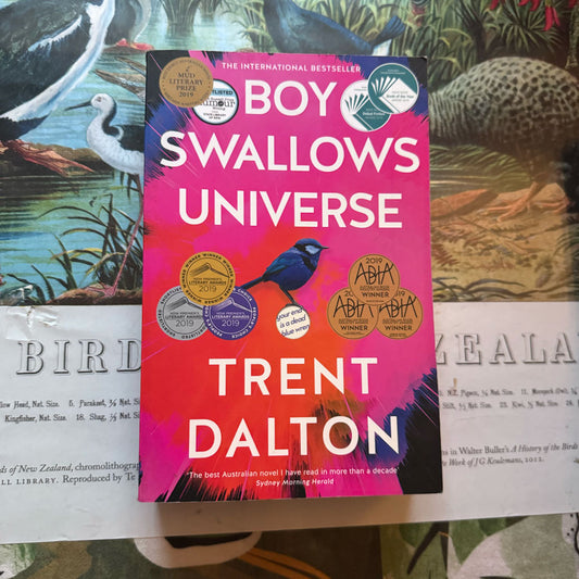Boy Swallows Universe