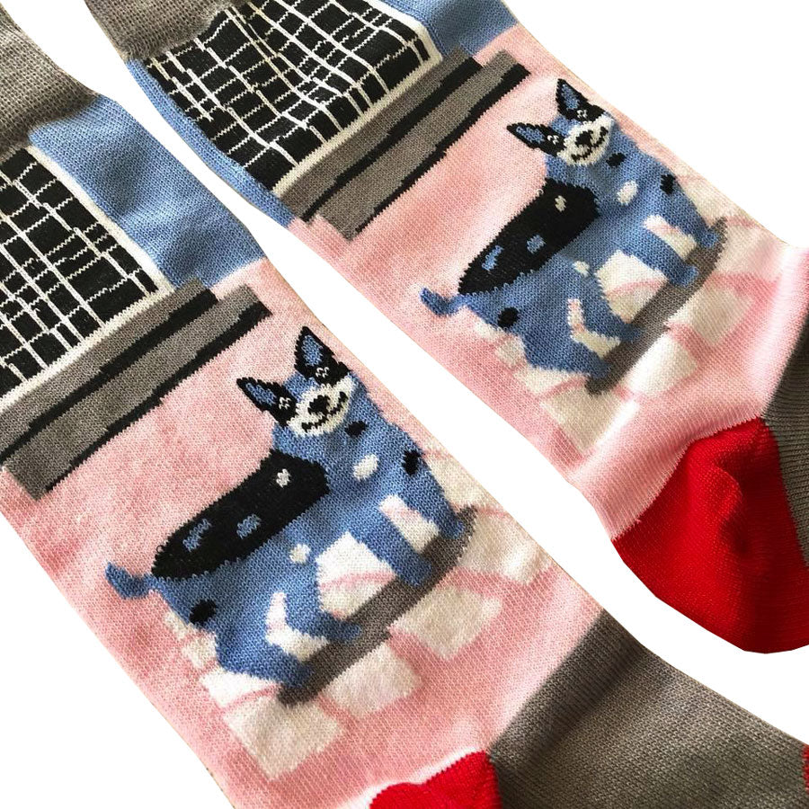 Cattle Dog socks