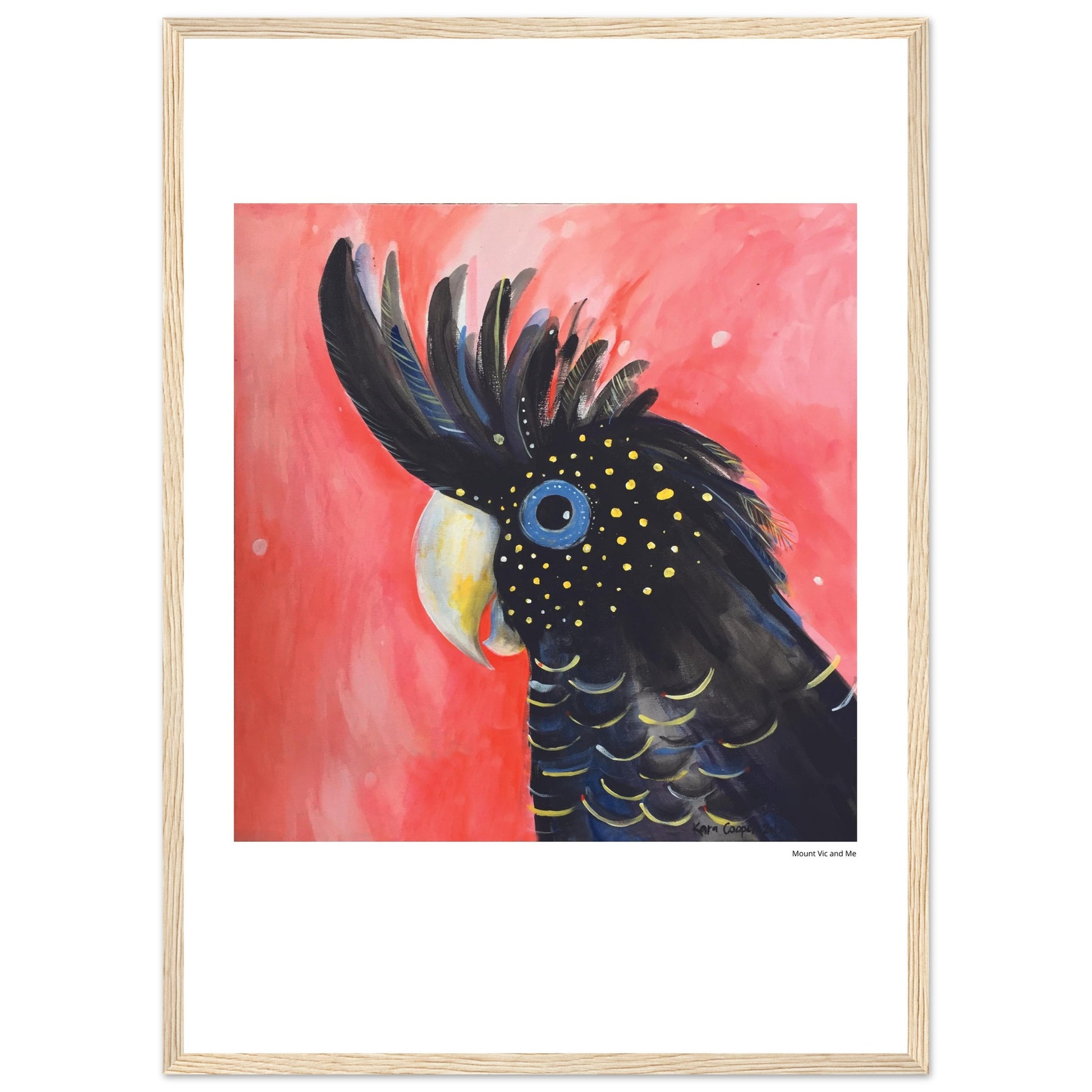 Black Cockaoo Framed Poster