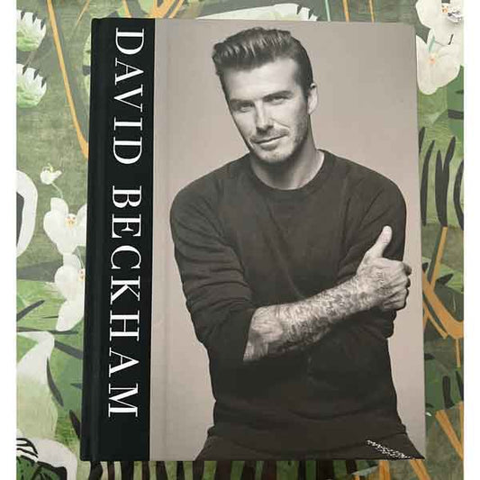David Beckham book 8353