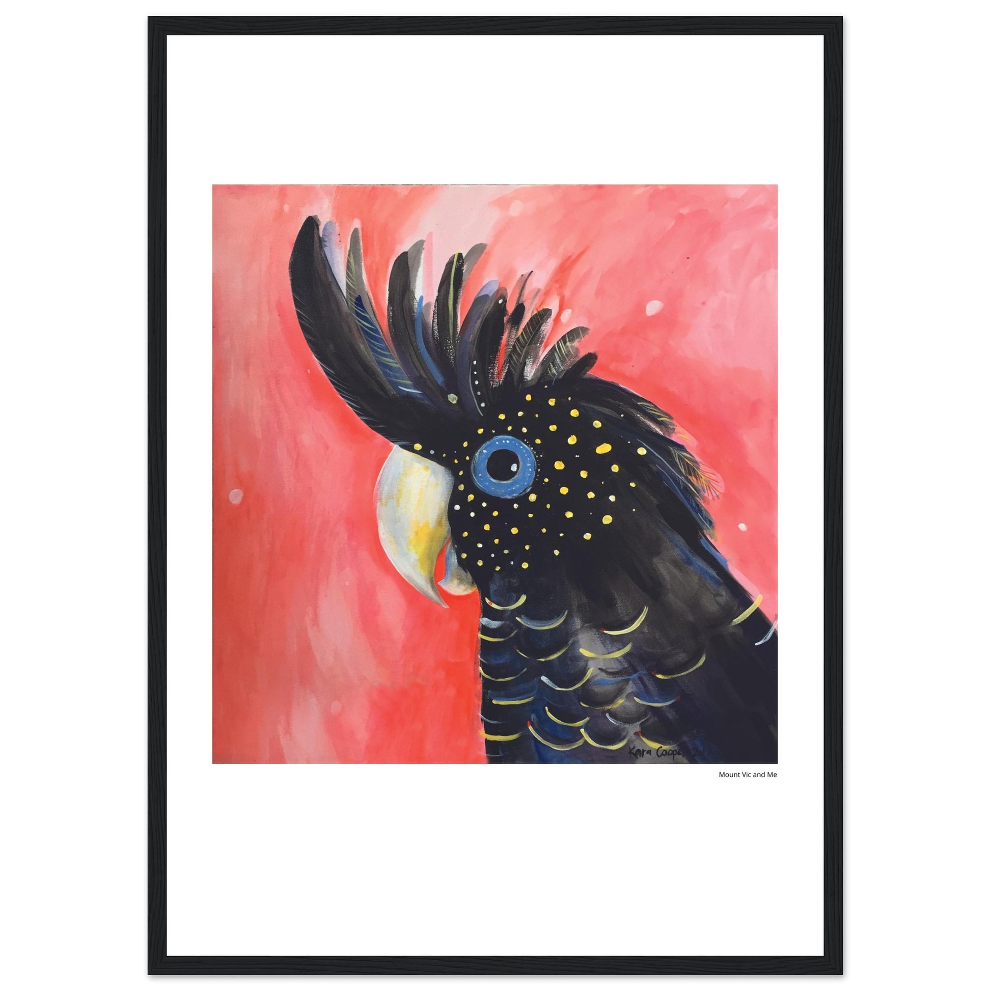 Black Cockaoo Framed Poster