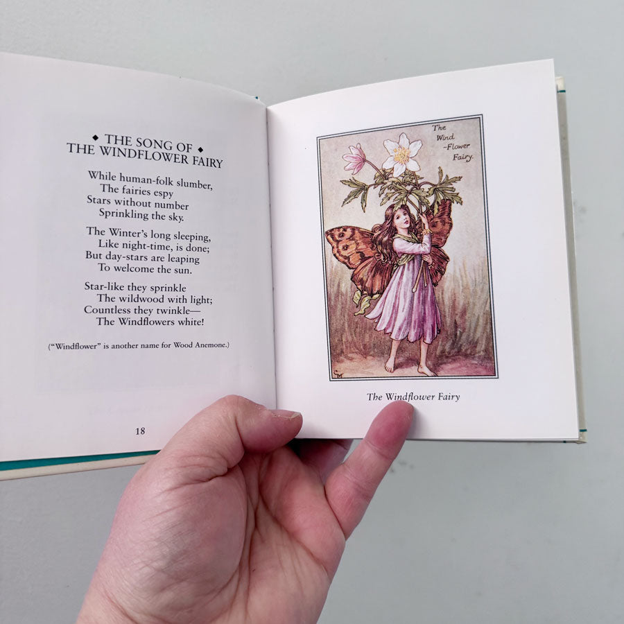 A flower fairies treasury