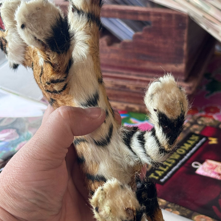 Fur tiger