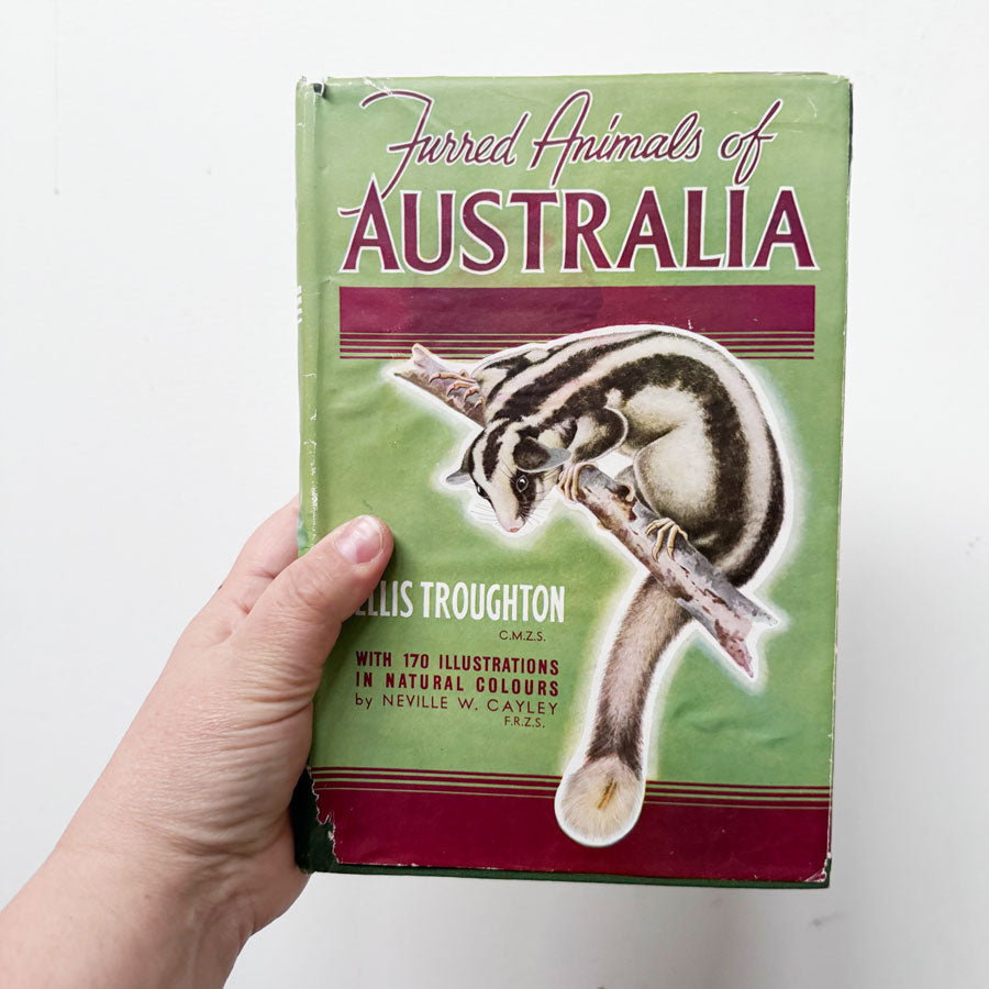 Furred animals of Australia