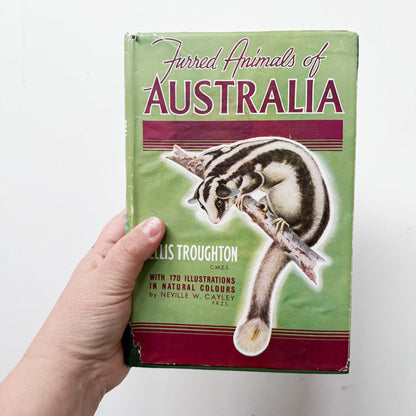 Furred animals of Australia