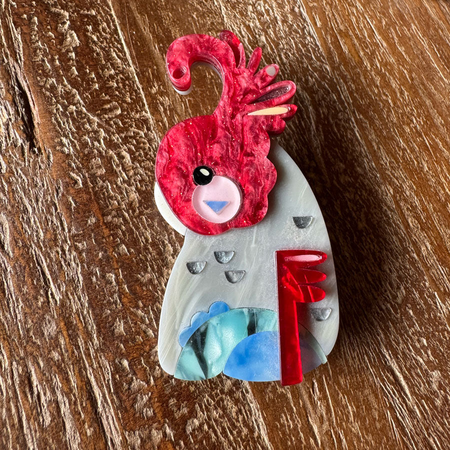 Fabulous brooches various