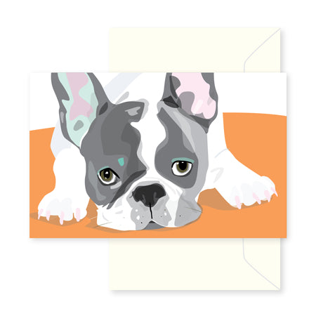 Animal greeting cards