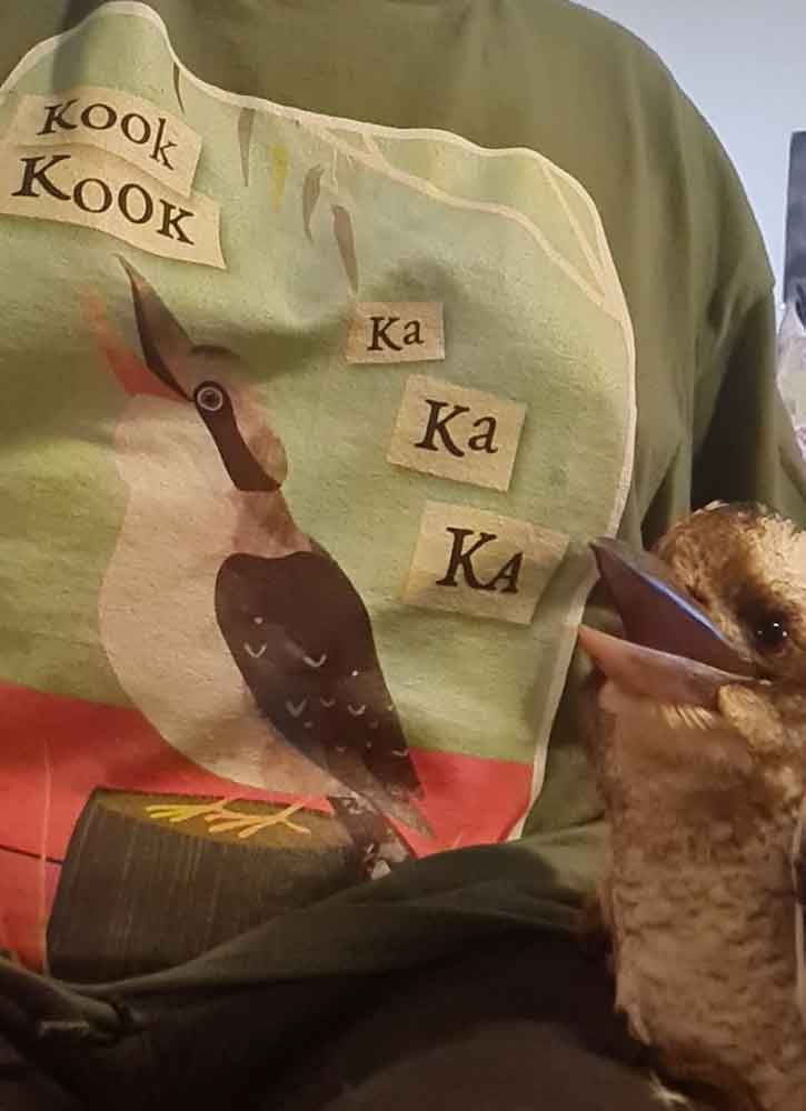 Kookaburra Laugh classic cotton t shirt