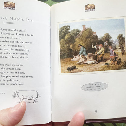 Little book of pigs