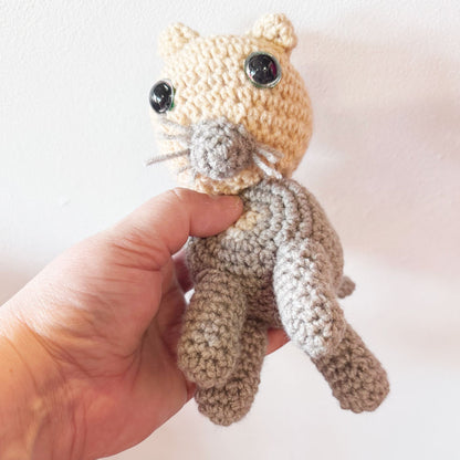 Little cat 'Puss'