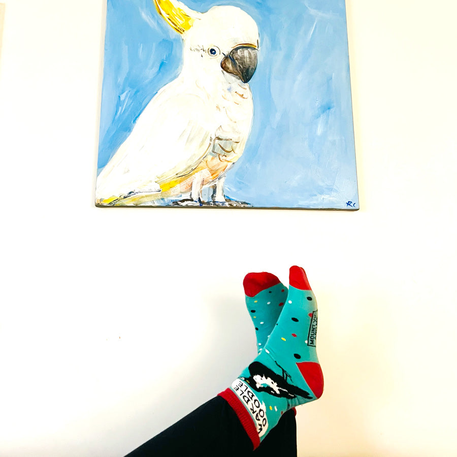 Magpie Talk socks