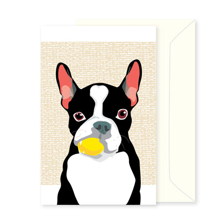 Animal greeting cards