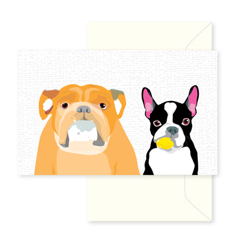 Animal greeting cards