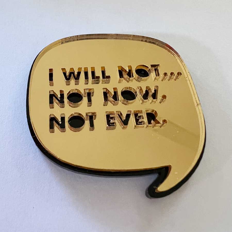 Not Now Not Ever brooch