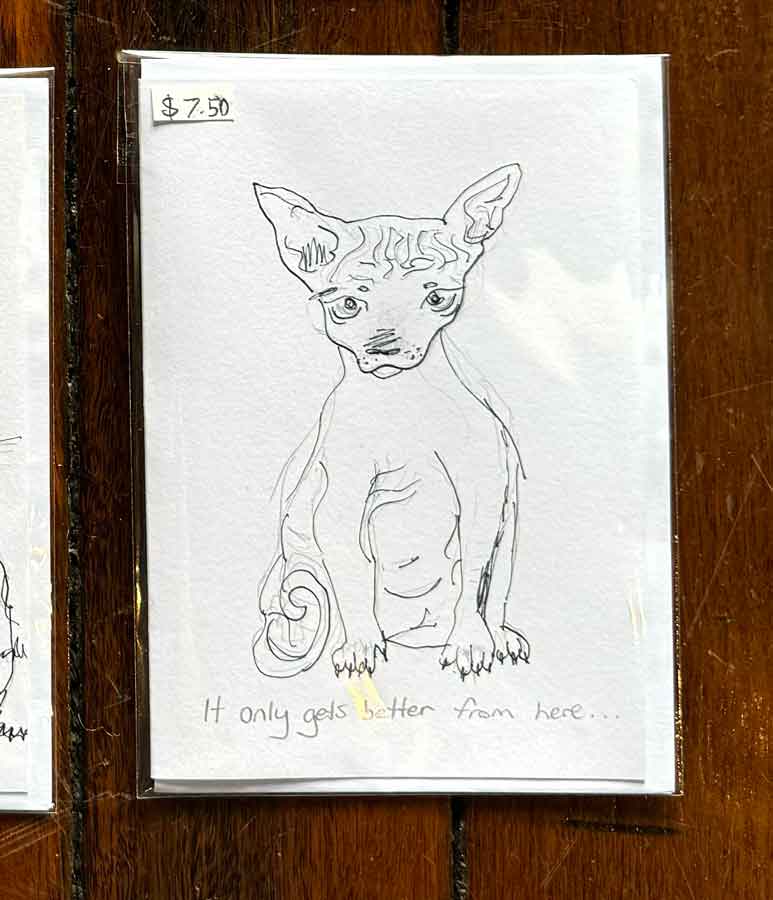 Hand drawn cards by Xanthe