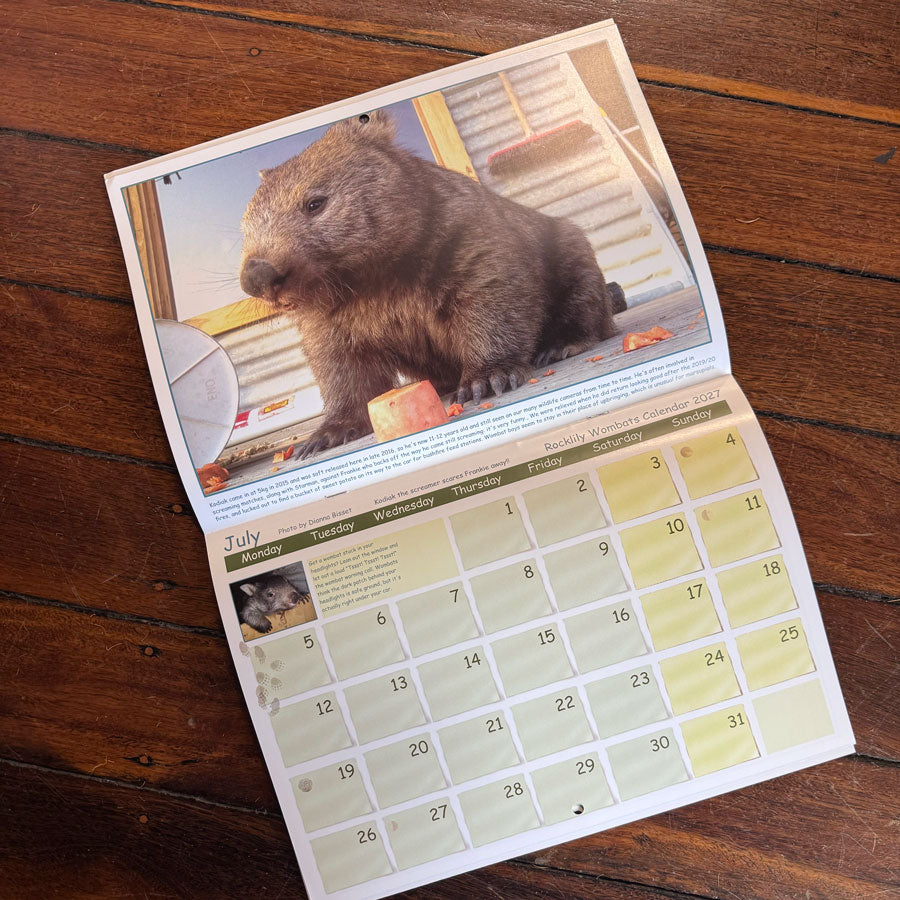 Rocklily Wombats Calendar 2027
