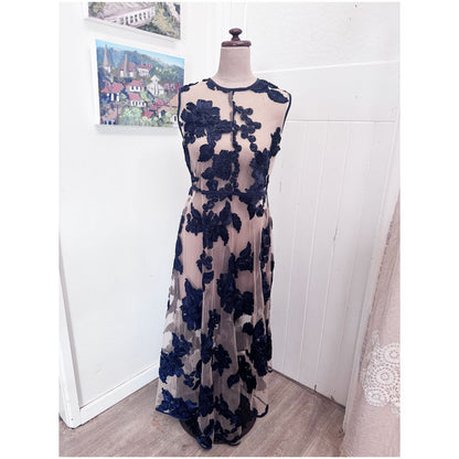 Sheer navy embroidered dress